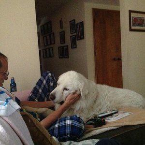 Meet your Posher, Joyce